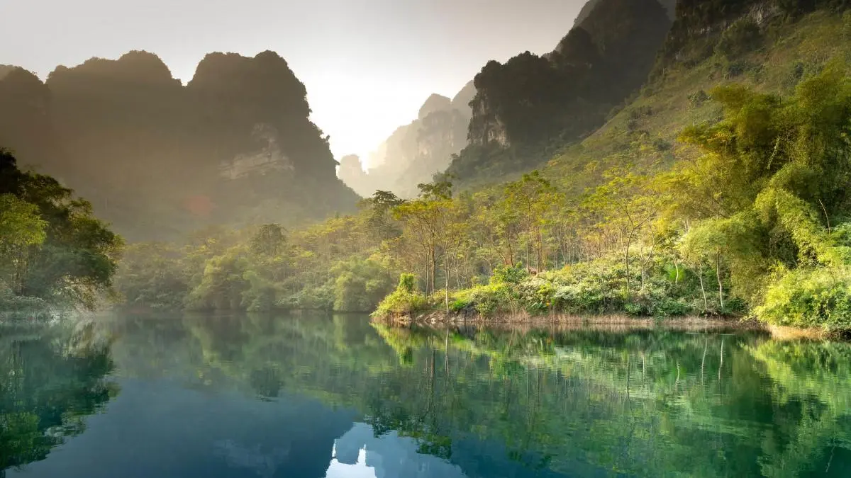 智能化高端高效