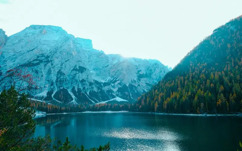 智能系统先进